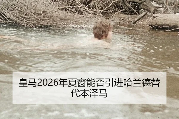 皇马2026年夏窗能否引进哈兰德替代本泽马